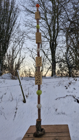 Artists/Images/ResizedExtra/bernard cwiek_image_berluc 15.jpg